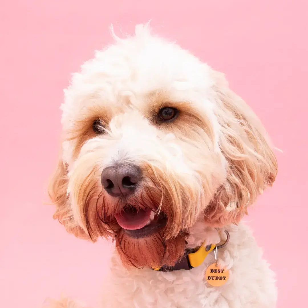 Bestie pink pet dog charm tag