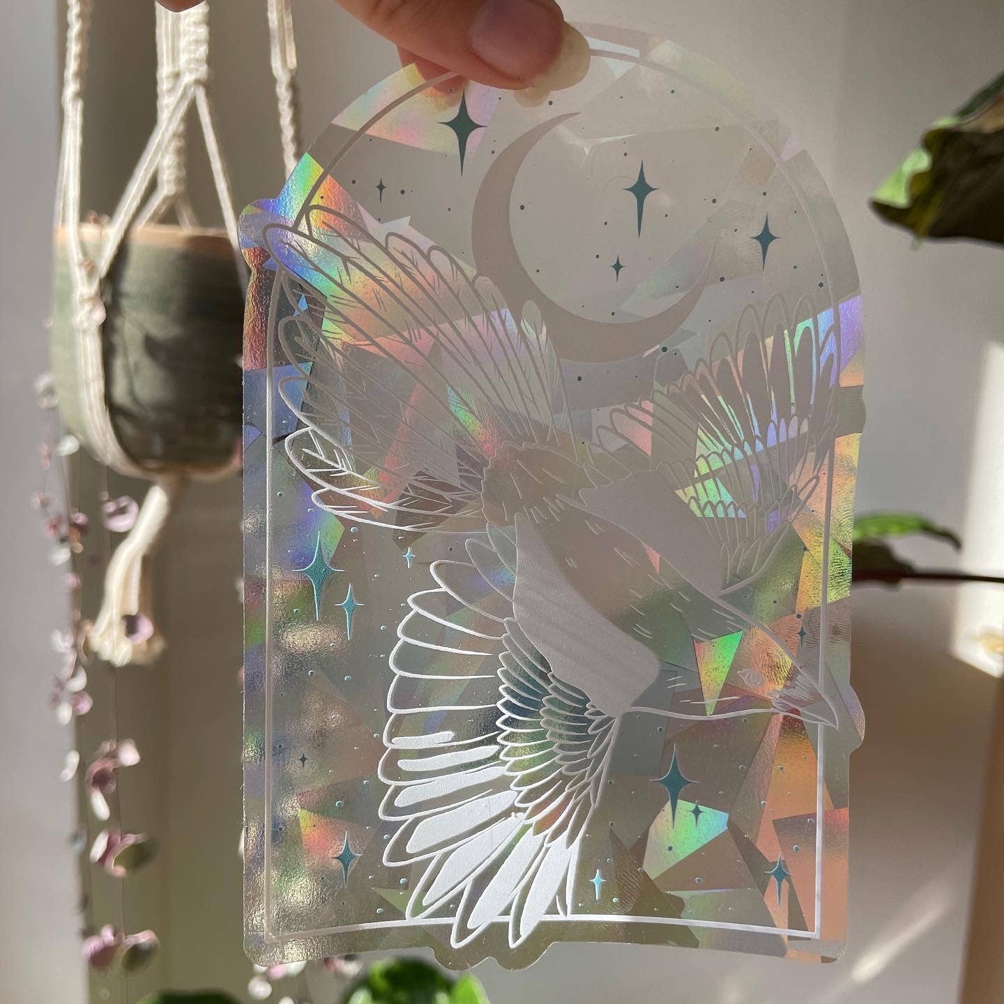 Magpie Suncatcher Decal