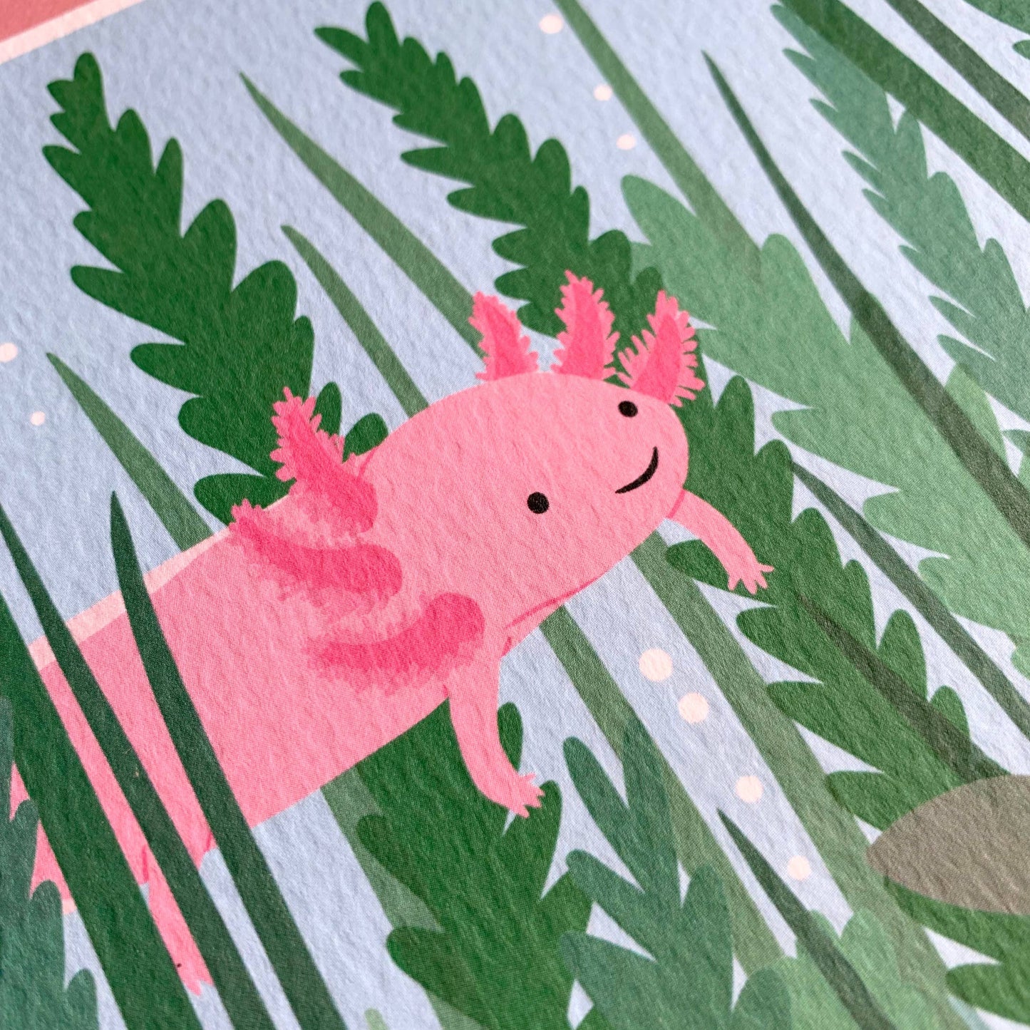 Close up of illustrated axolotl face