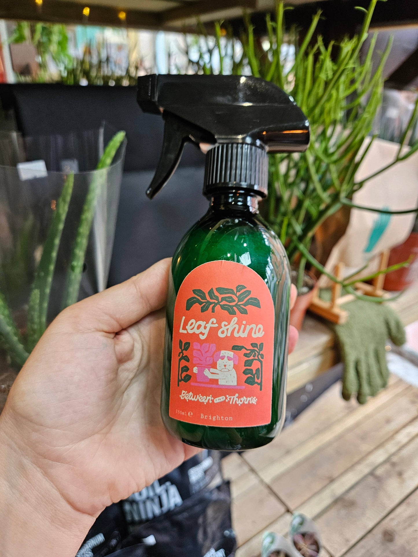 Leaf Shine
