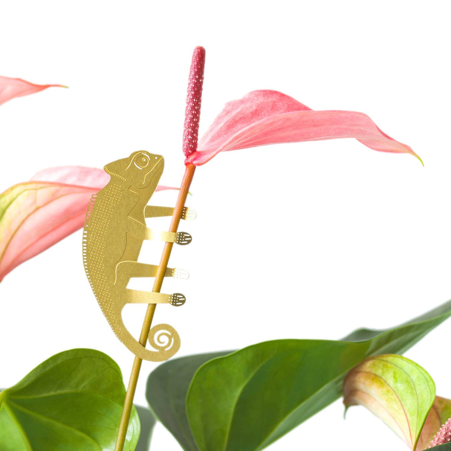 Chameleon, garden decor