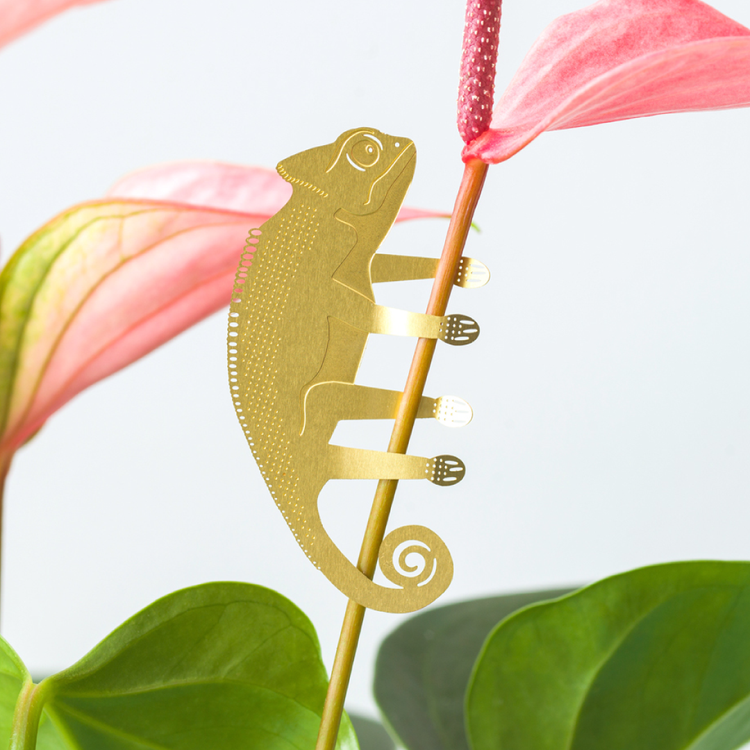 Chameleon, garden decor