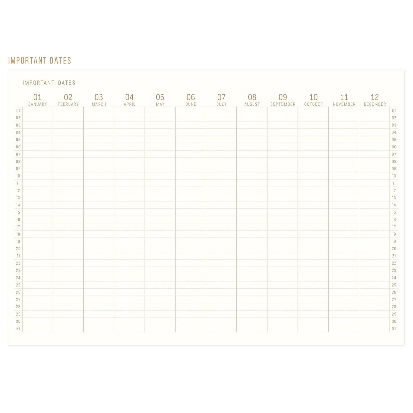 Standard Issue Jumbo Journal - Dusty Pink