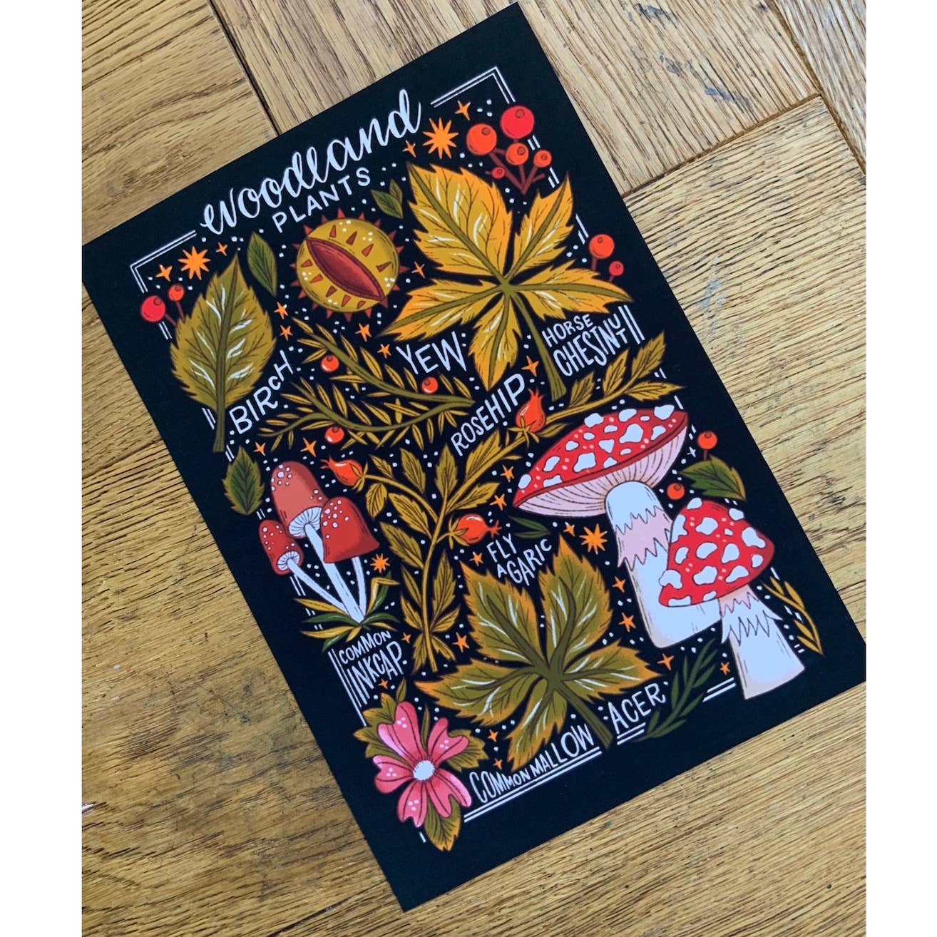 Woodland Plants A3 Art Print