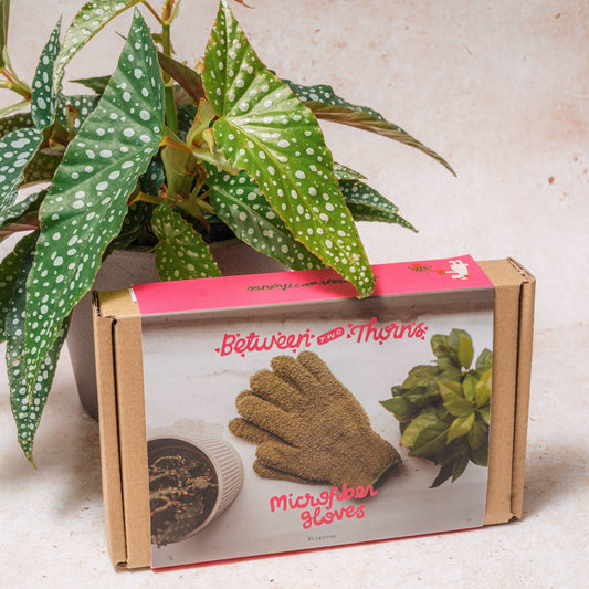 Microfibre plant cleaning and polishing gloves