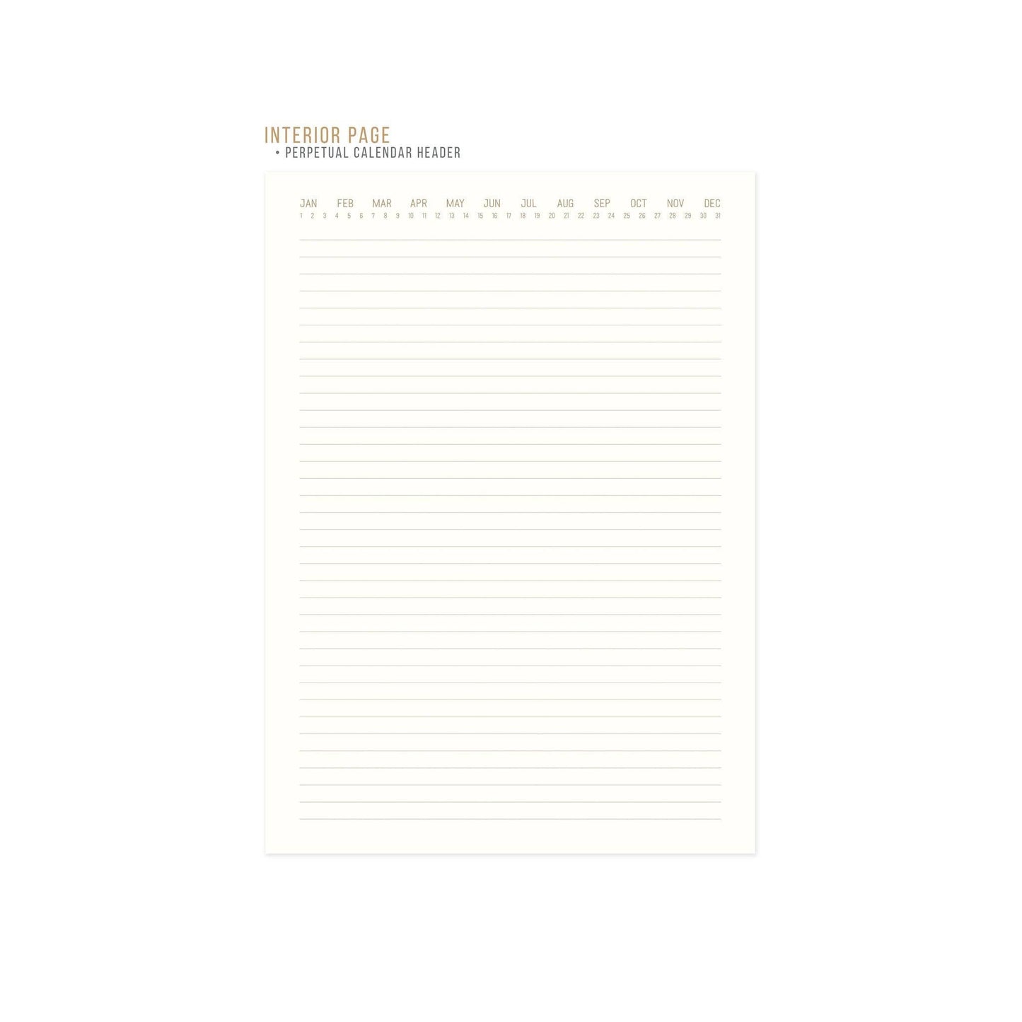 Standard Issue Jumbo Journal - Dusty Pink