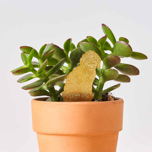 Cockapoo Dog, Plant Animal Pet, brass plant pot decor
