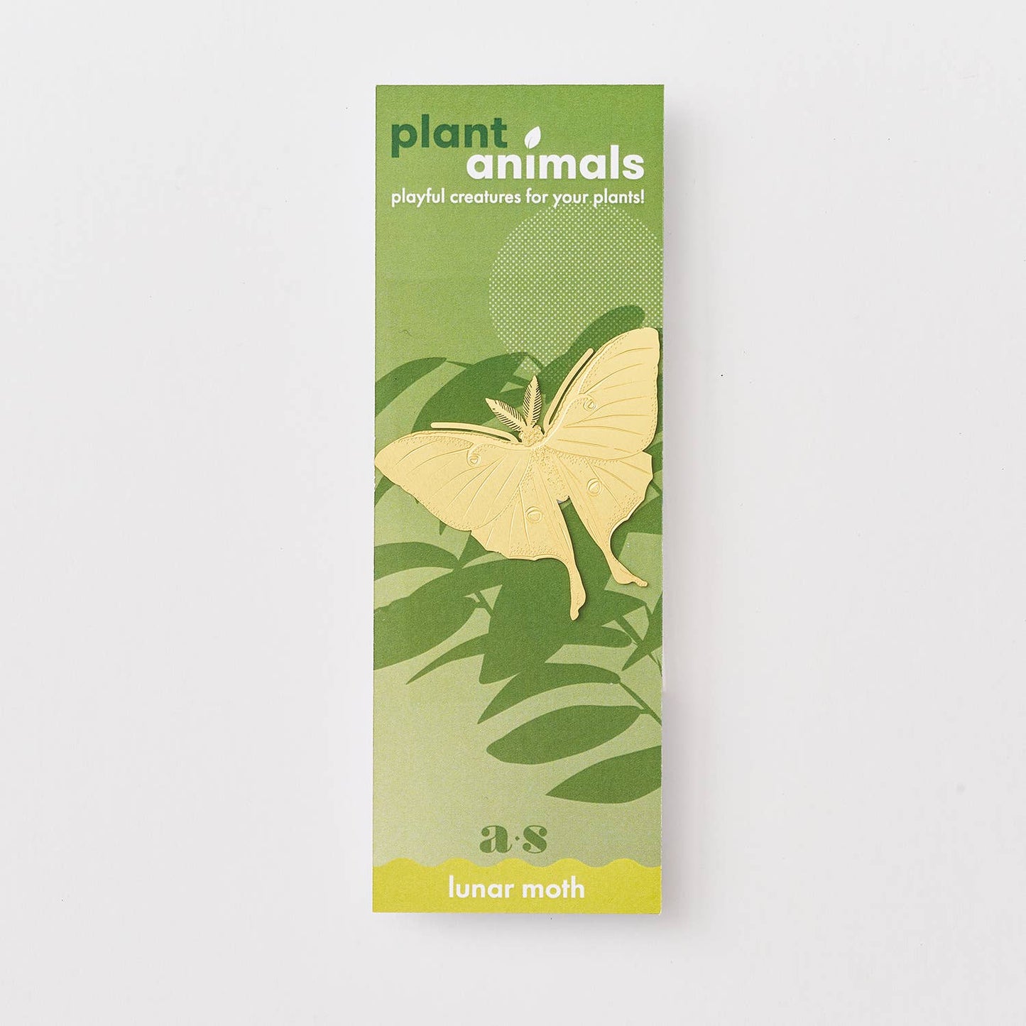 Luna Moth, house plant charm