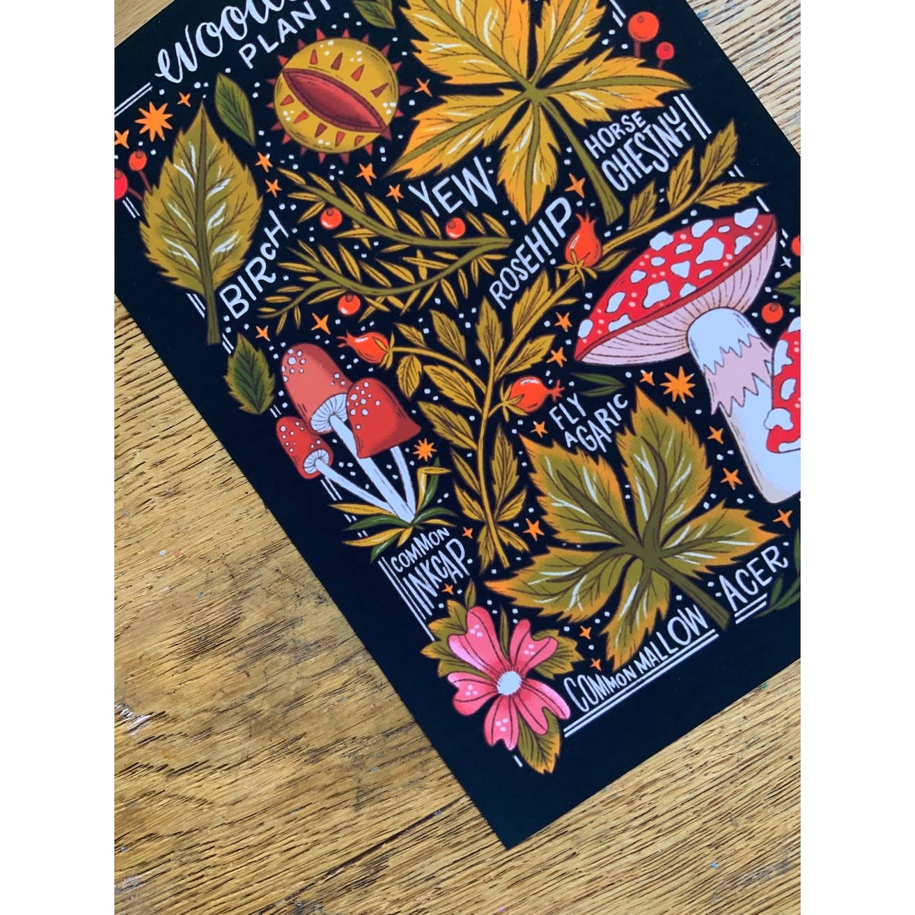 Woodland Plants A3 Art Print