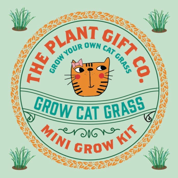 Cat Grass Growing Kit
