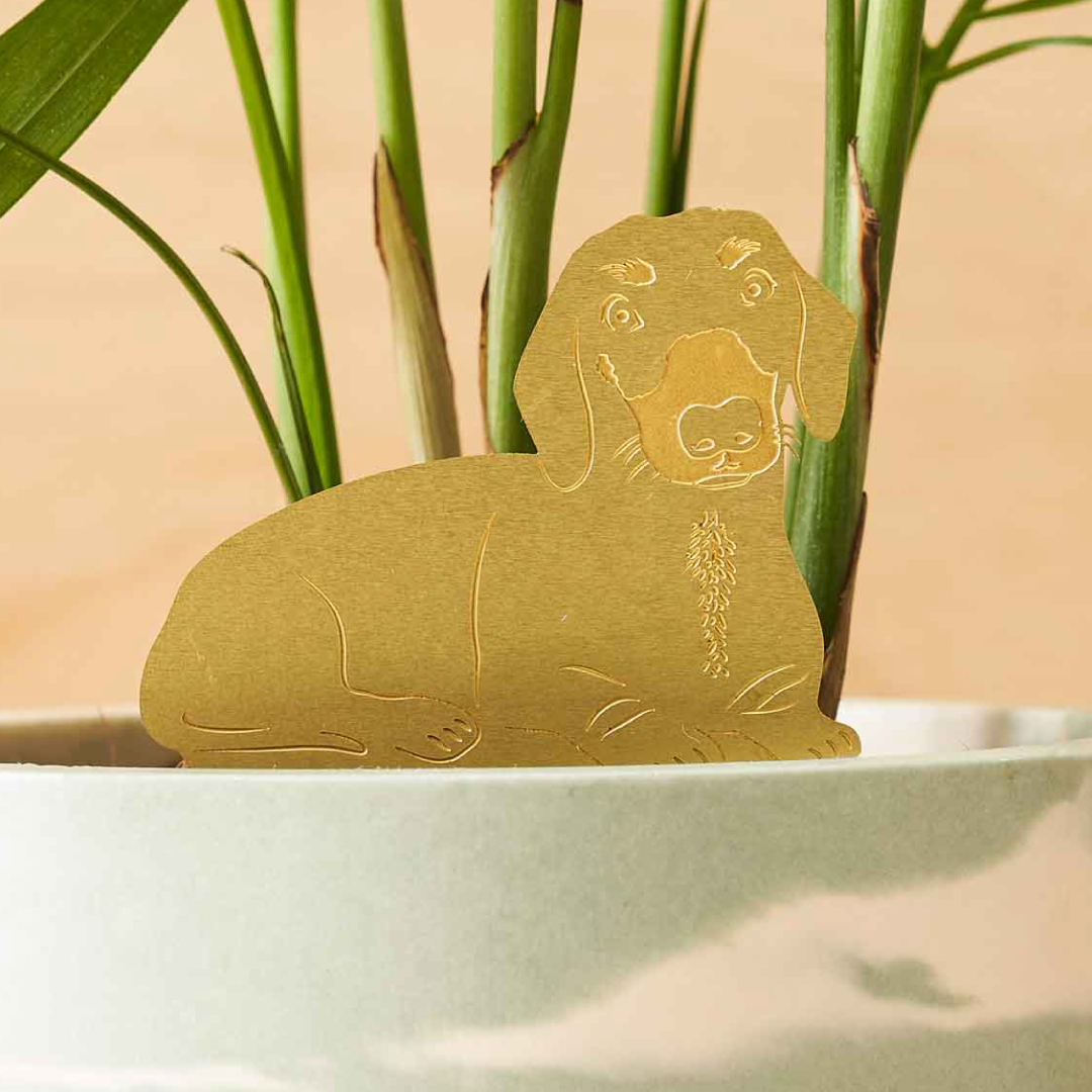 Daschund, Plant Animal Pet, pot decoration for dog lovers