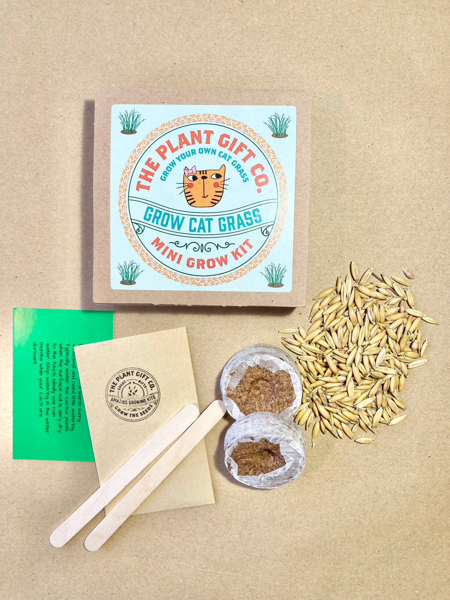 Cat Grass Growing Kit