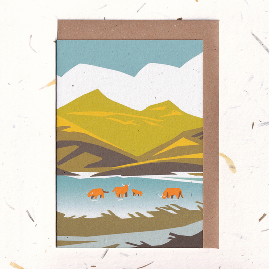 Highland Coos - Blank Scottish Greeting Card