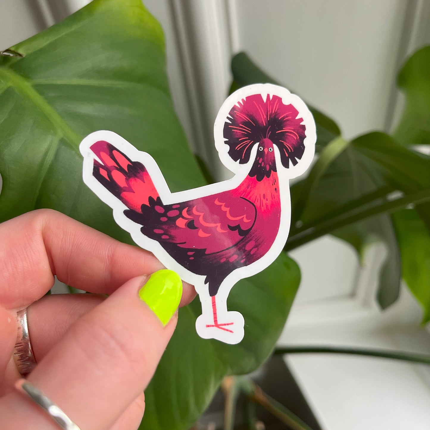 Polish Chicken Sticker
