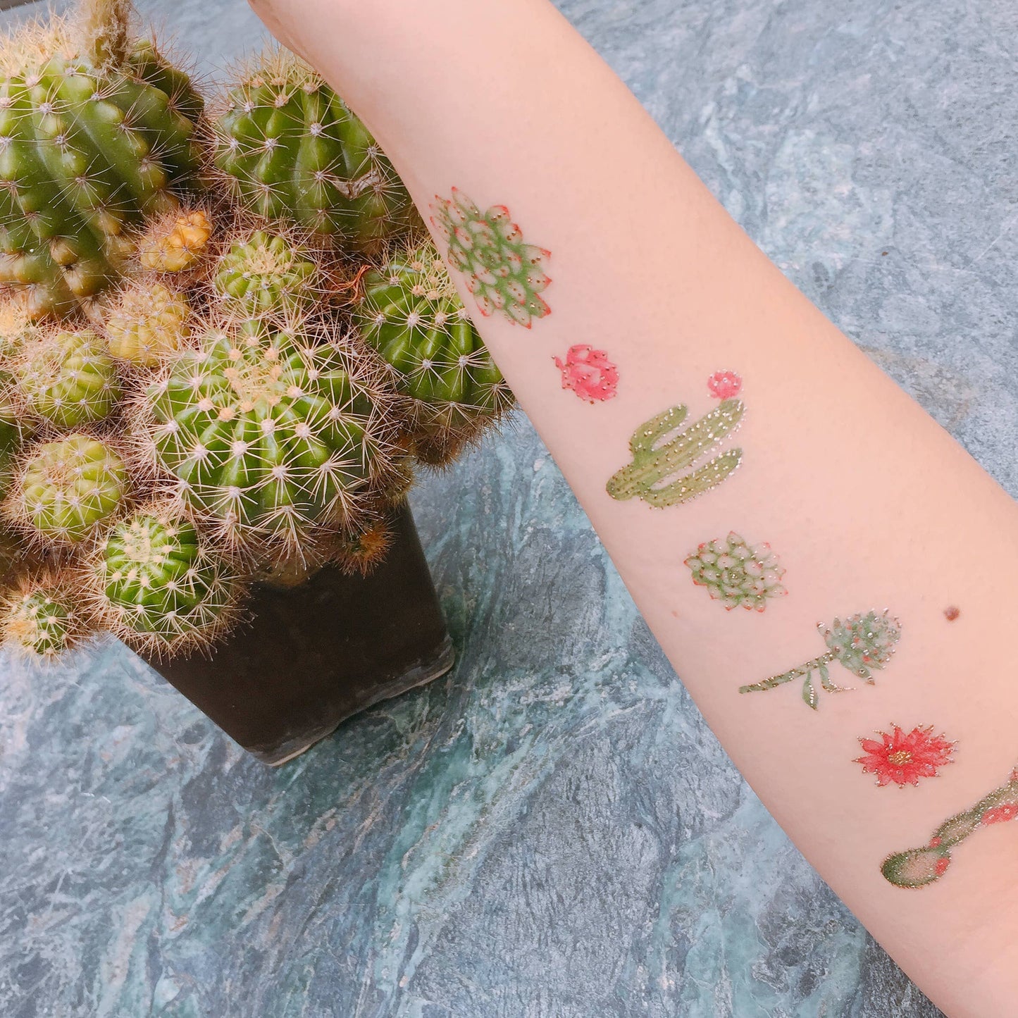Cacti Temporary Tattoos Stickers