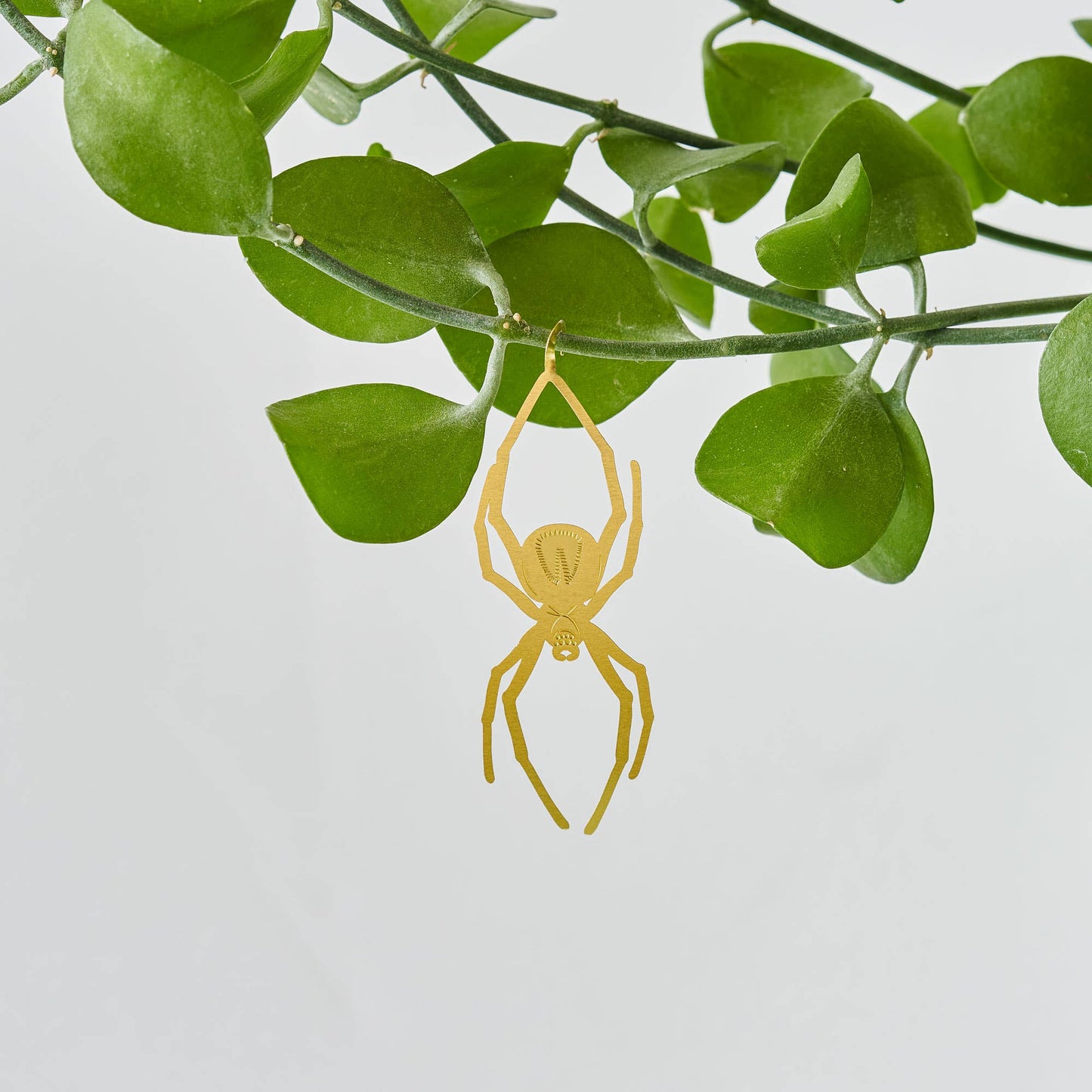 Spider, spooky houseplant charm