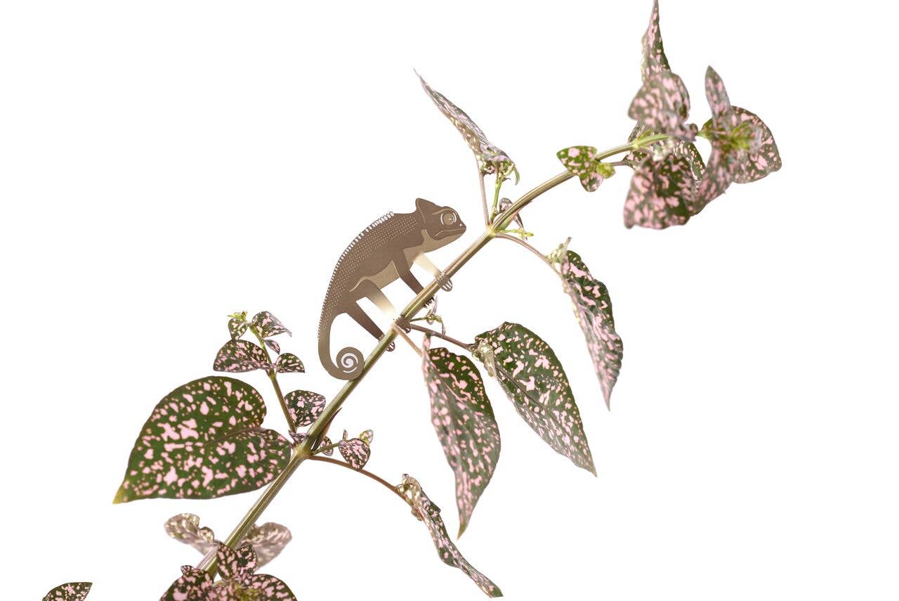 Chameleon, garden decor