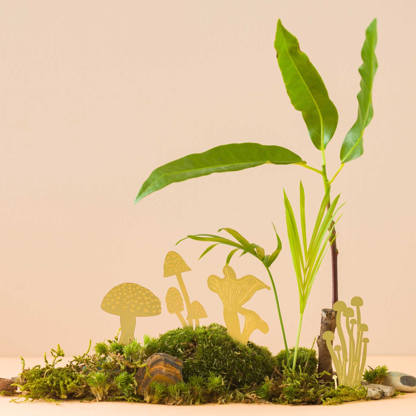 Mini Mushrooms brass, plant pot & terrarium decoration