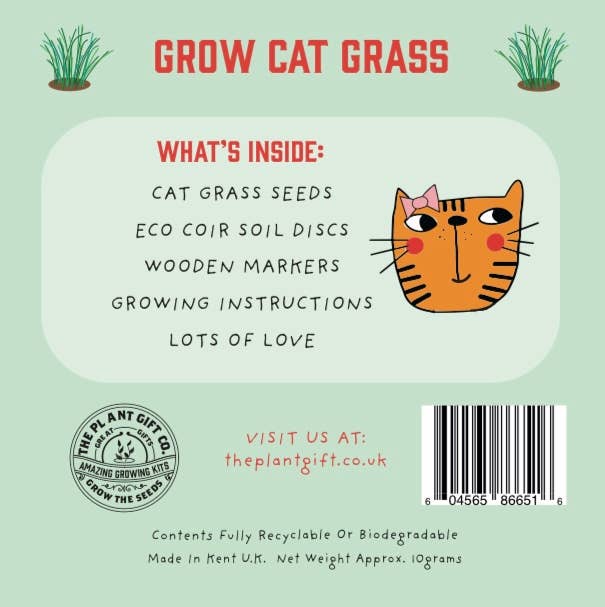 Cat Grass Growing Kit