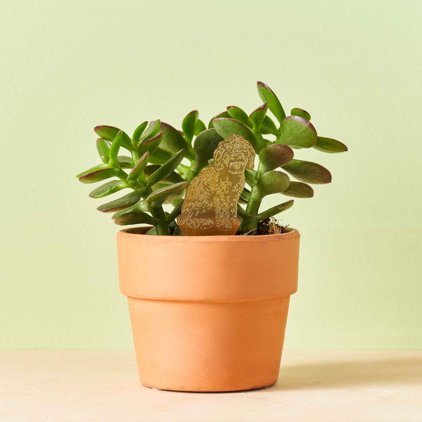 Cockapoo Dog, Plant Animal Pet, brass plant pot decor
