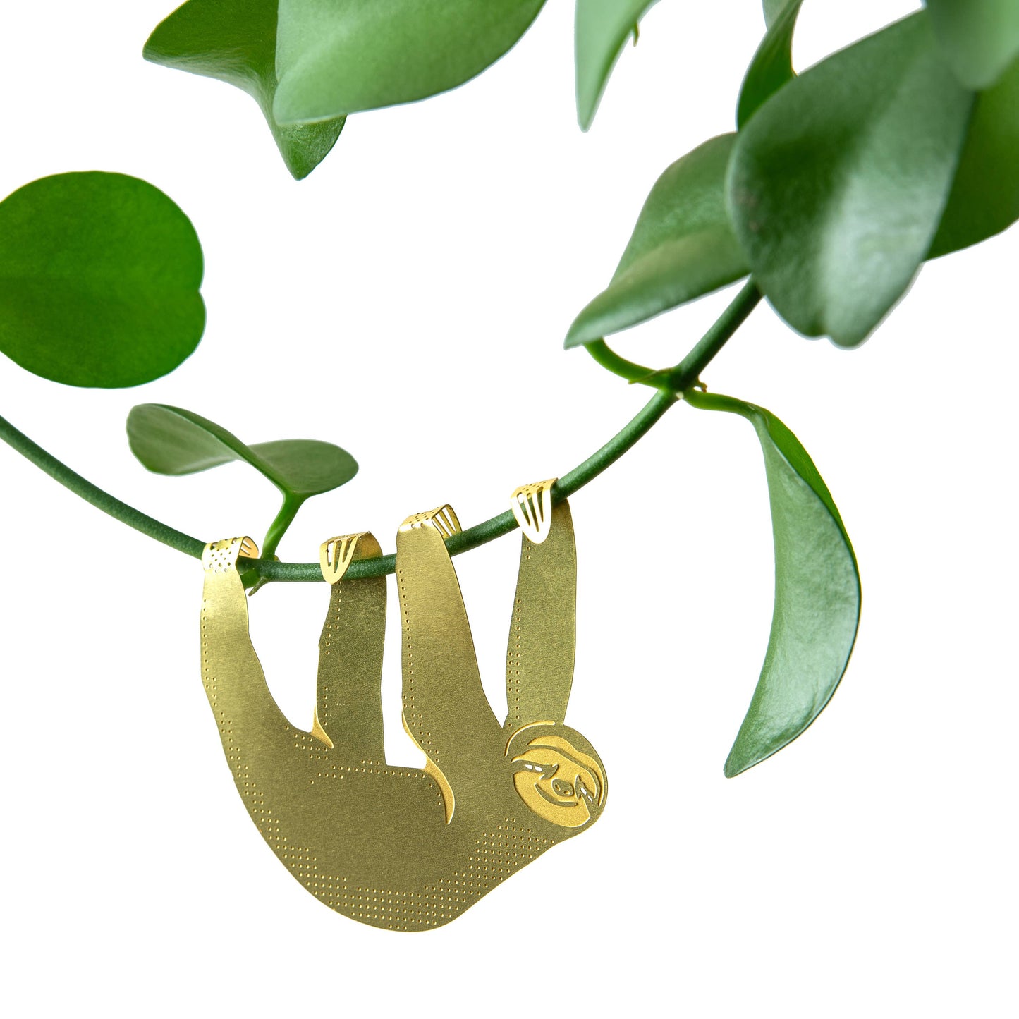 Sloth, cute houseplant charm