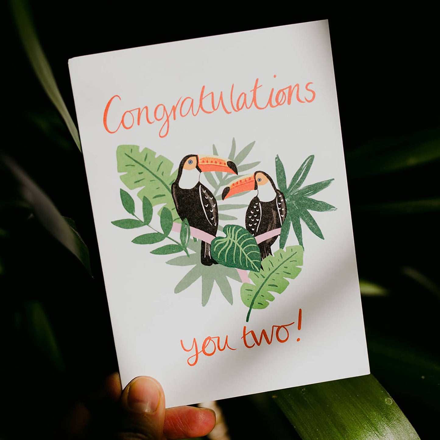Congratulations you Two! Toucans card