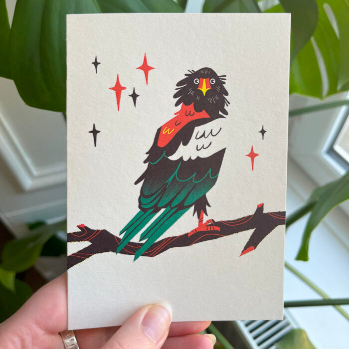 Bateleur Eagle Greeting Card