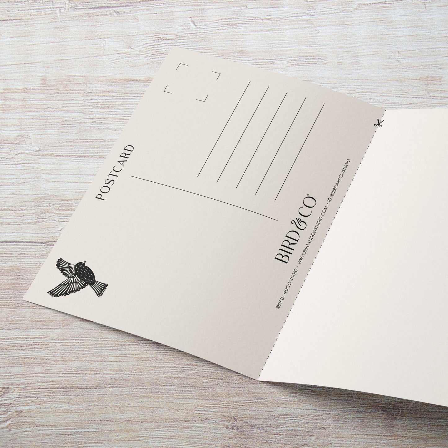 Cycling Sport Reusable Greeting Card
