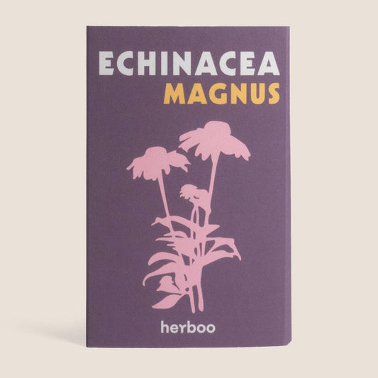 Echinacea 'Magnus' seeds