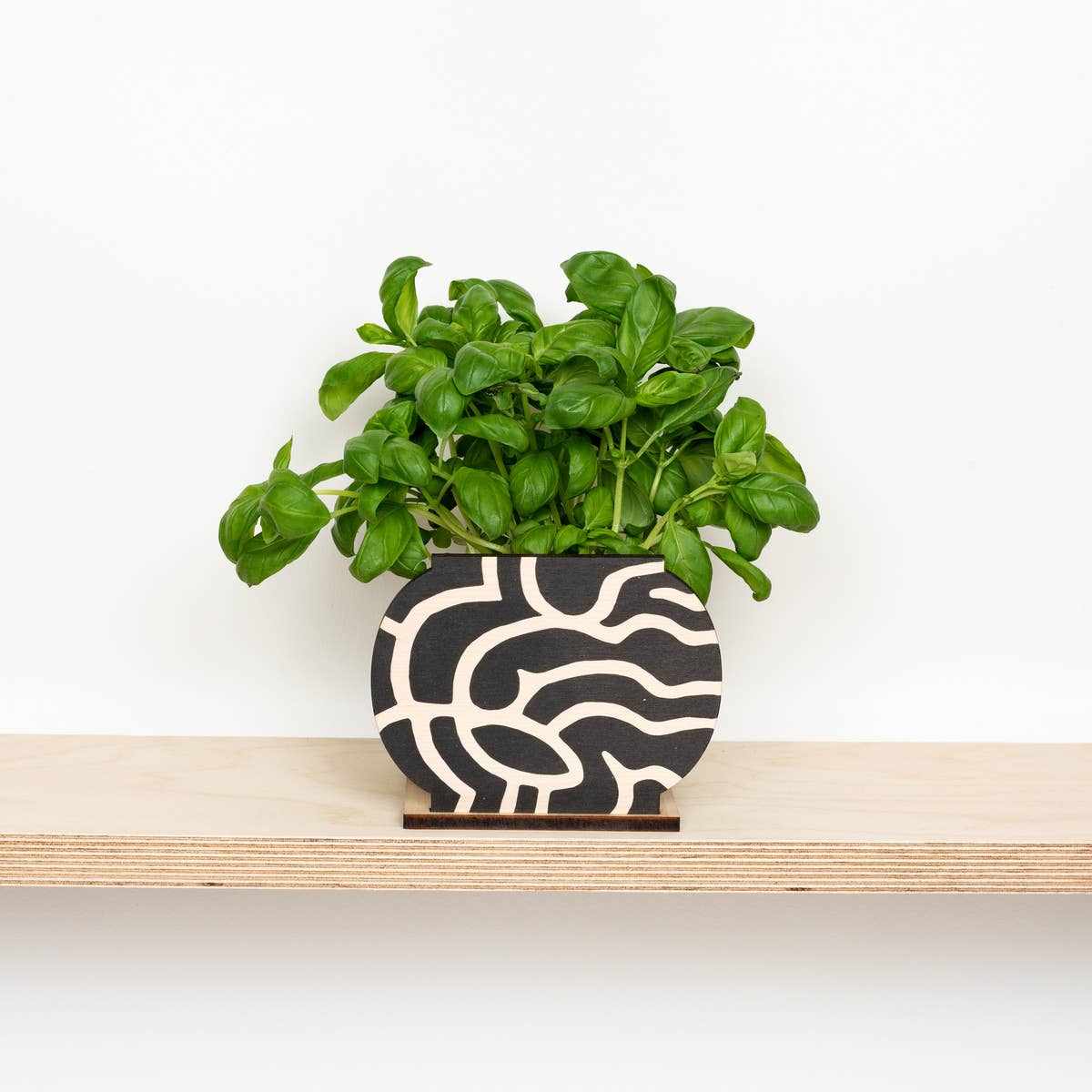 A black and white abstract patterned plant pot screen that hides ugly plant pots on a shelf with a plant behind it. 