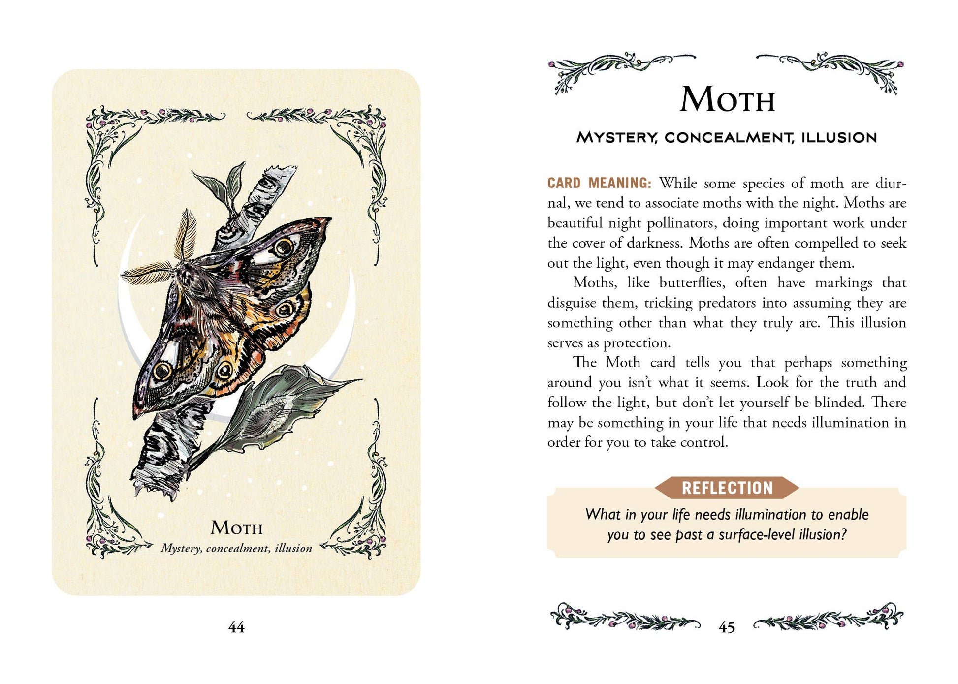 Moth card from a tarot oracle deck with descriptive text on a beige background.