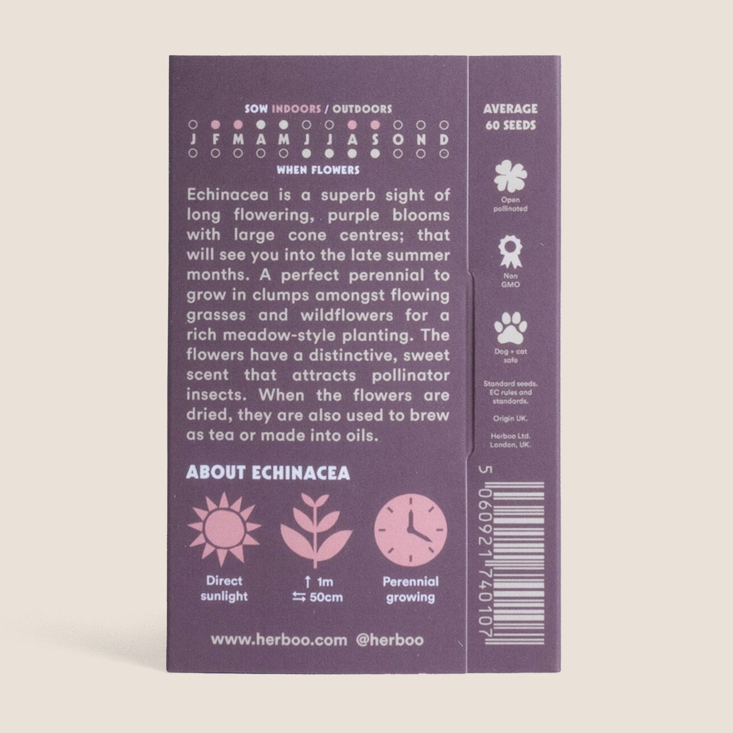 Echinacea 'Magnus' seeds