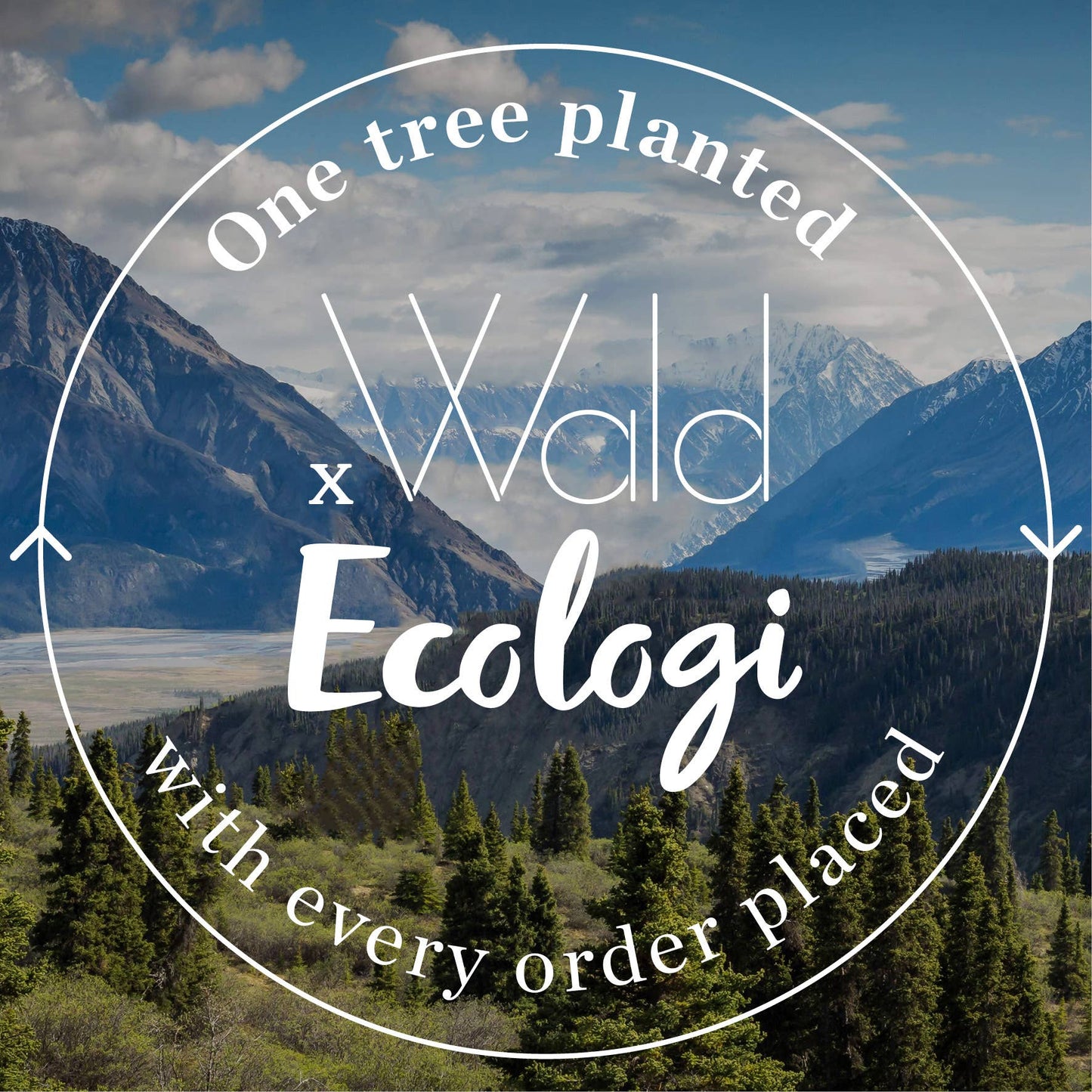 Mountain landscape with 'Wald Ecologi' branding and text about tree planting.