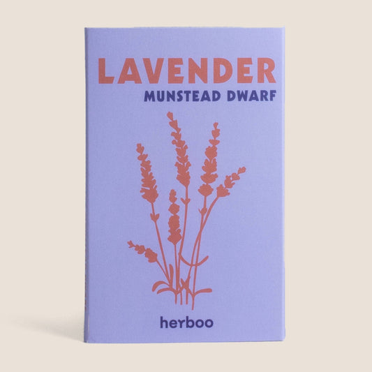 Lavender 'Munstead Dwarf' Seeds