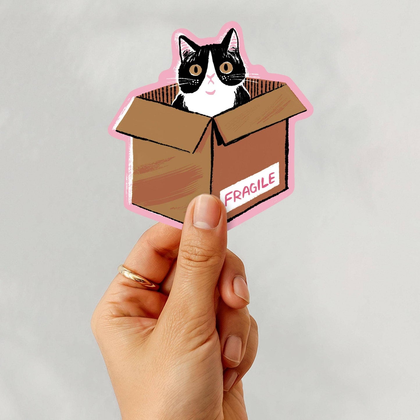 Fragile Cat Eco-Friendly Sticker