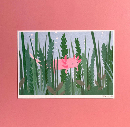 An illustration of a pink axolotl in reeds.