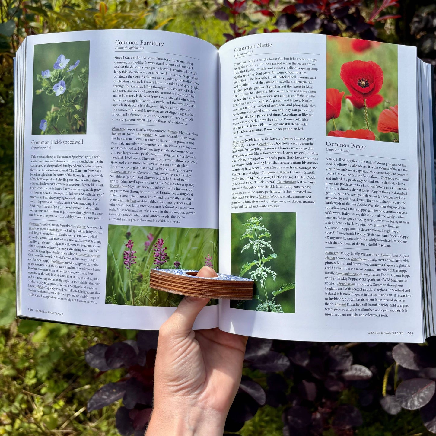 Book Holder - Red Sprigs