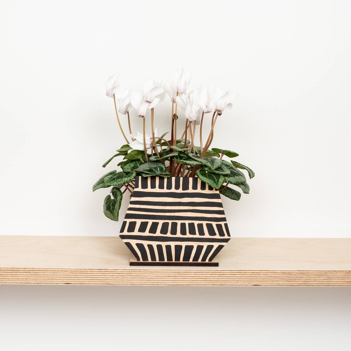Black and white striped wooden plant screen with a plant on a wooden shelf against a white background