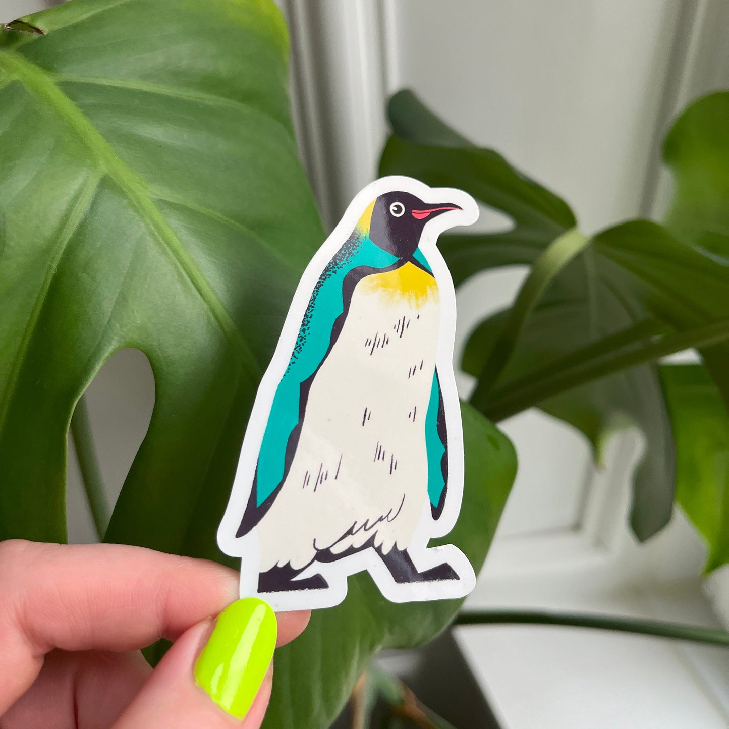 Hand holding a penguin sticker in front of green leaves