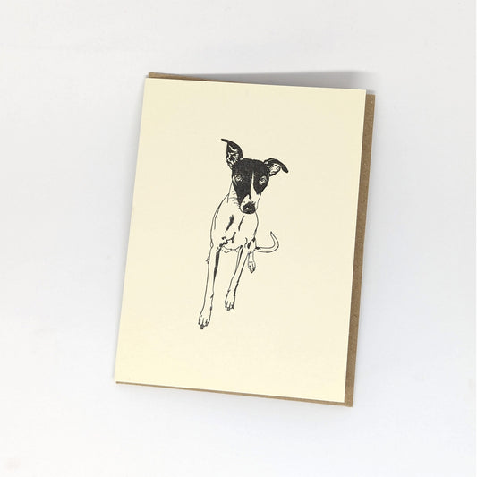 A letterpress greeting card featuring a black and white illustration of a Whippet puppy, on a beige card base.