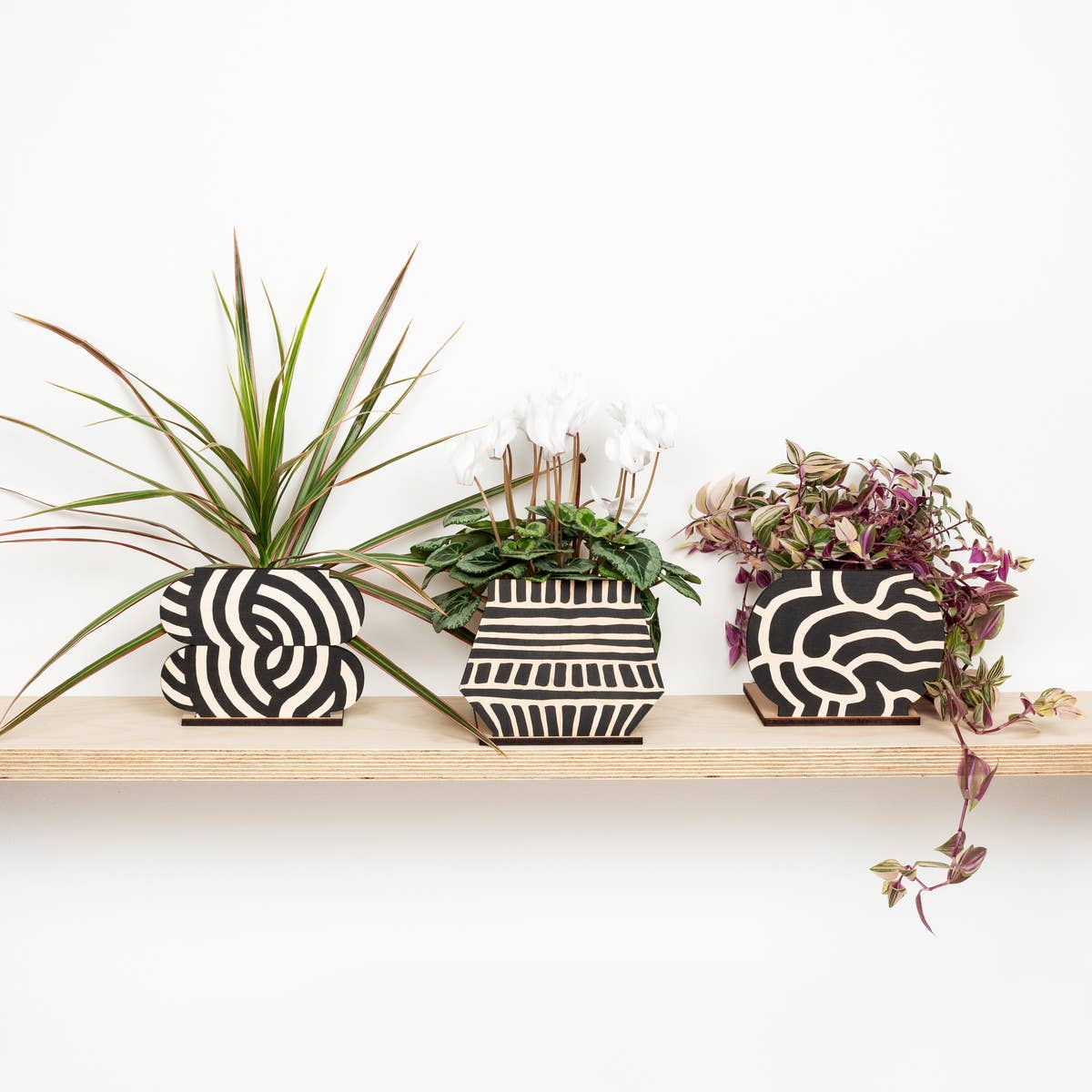 Three decorative plant pot screens with plants on a wooden shelf against a white background