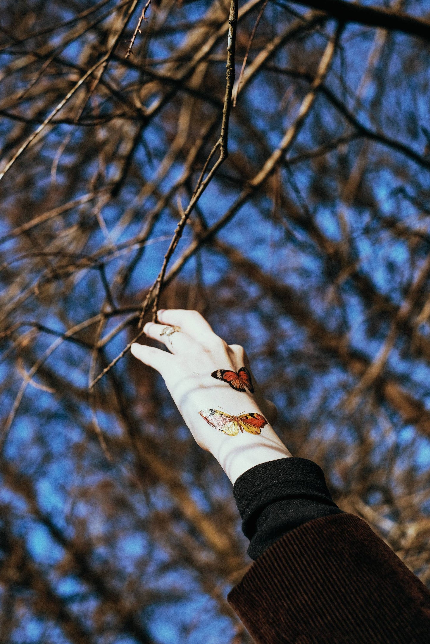 Butterflies Temporary Tattoos Stickers