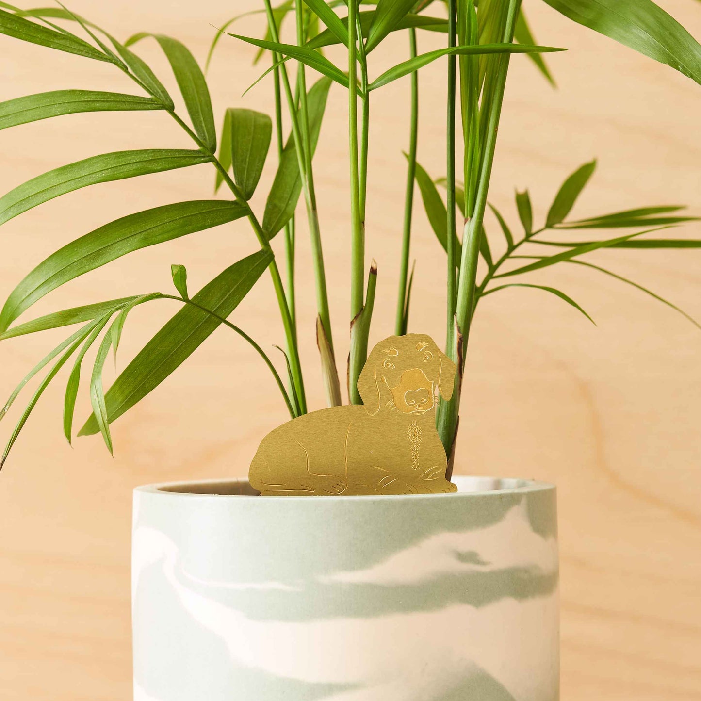 Daschund, Plant Animal Pet, pot decoration for dog lovers