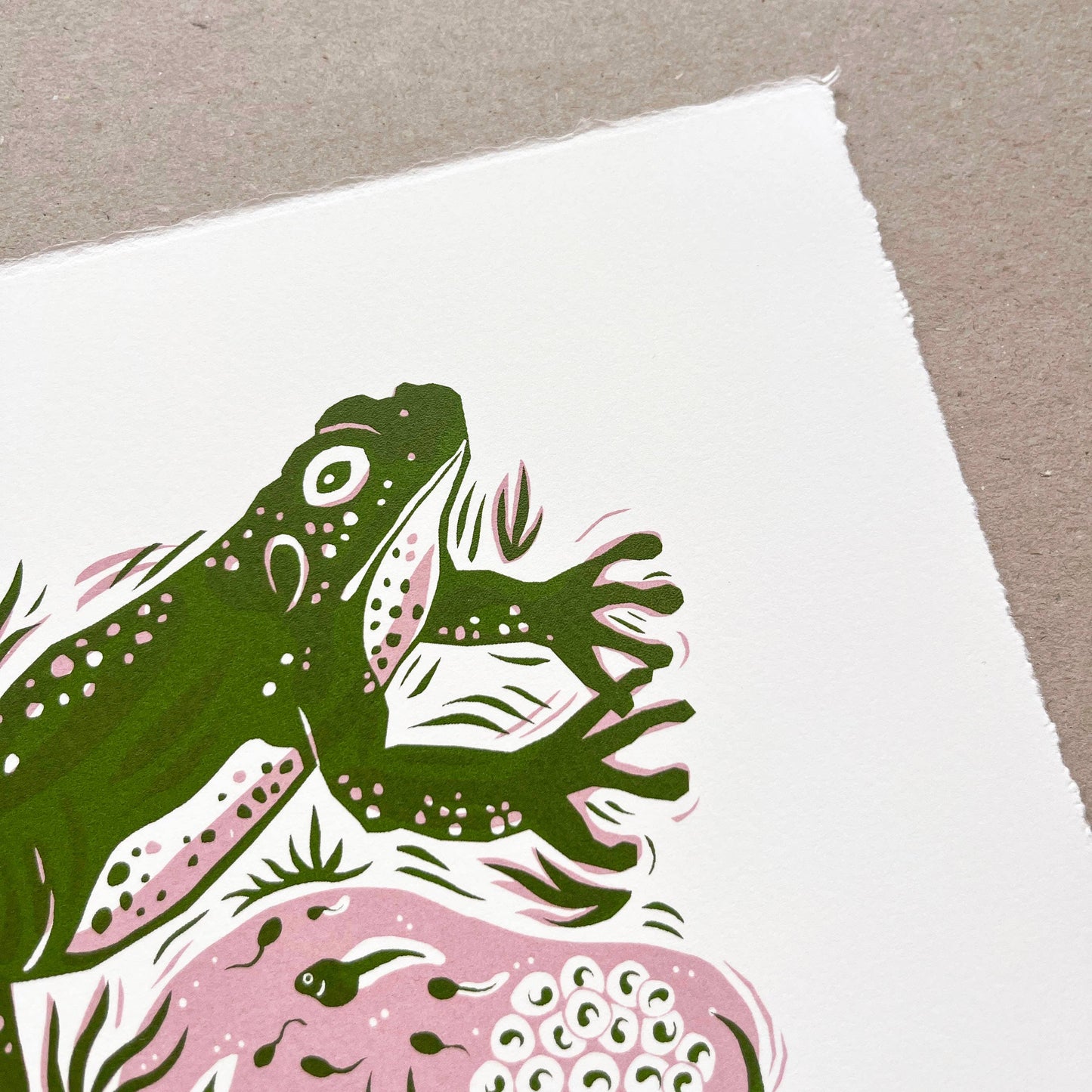 Green Frog - Limited Edition Screen Print