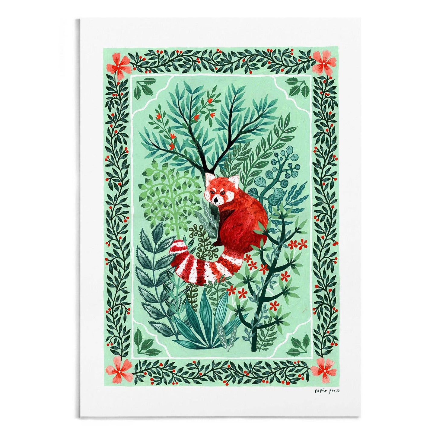 Red Panda A4 Print