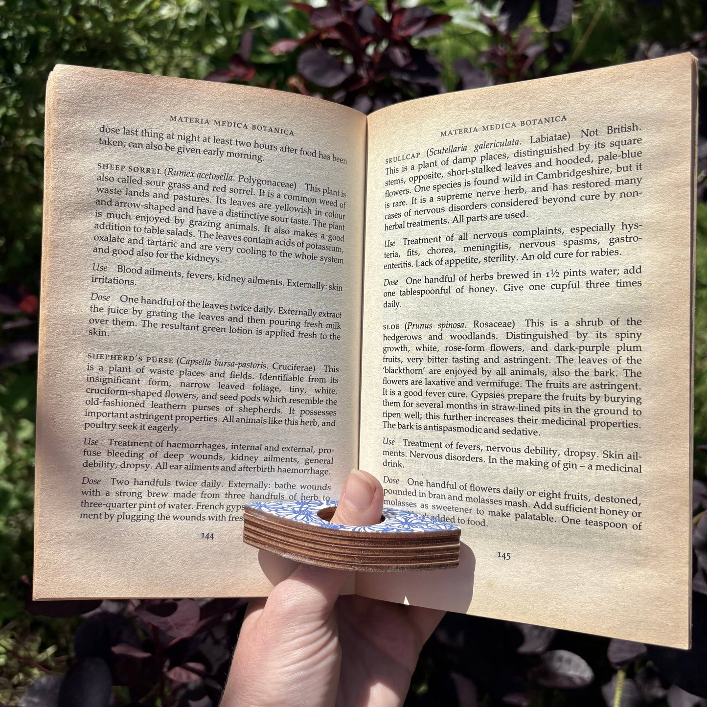 Book Holder - Red Sprigs