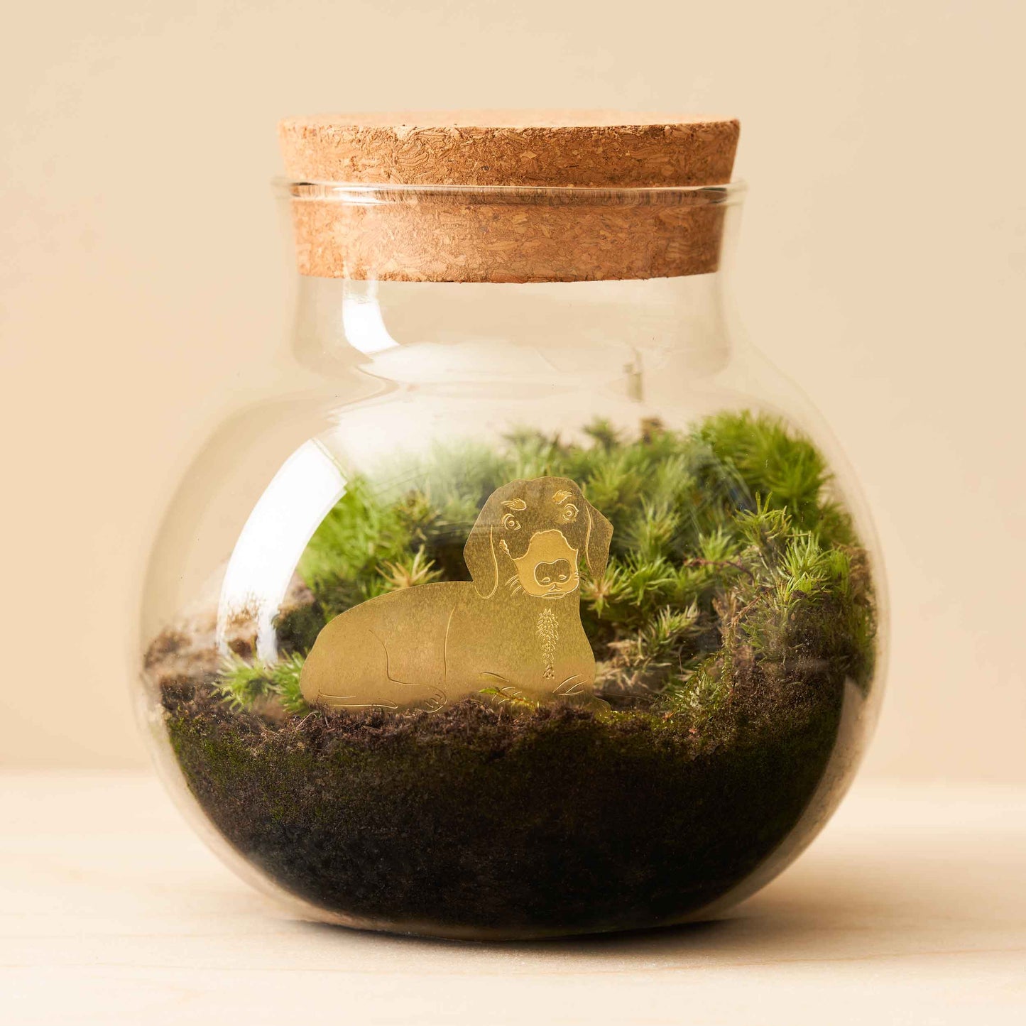 Daschund, Plant Animal Pet, pot decoration for dog lovers