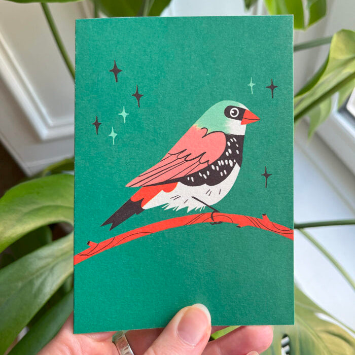 Diamond Firetail Greeting Card