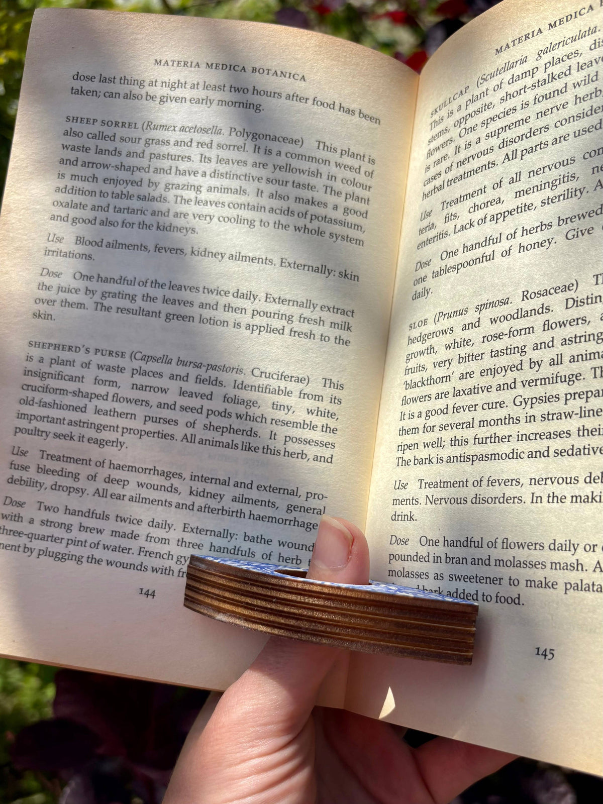 Green Leaves Book Holders