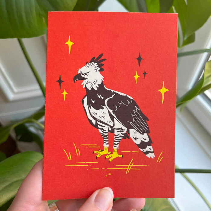 Harpy Eagle Greeting Card